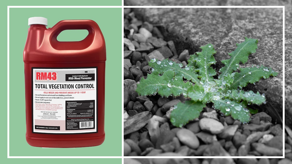 The 3 Best Weed Killers For Gravel