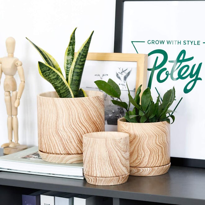 Potey Ceramic Pots (3-Pack)