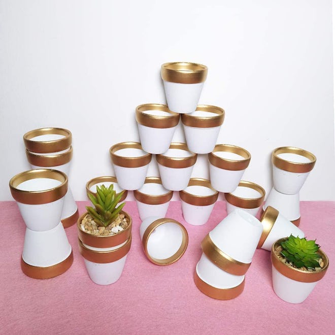 Winlyn Mini Terracotta Pots (24-Pack)