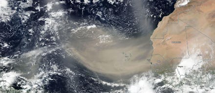 Saharan Dust Plume captured by NASA satellite