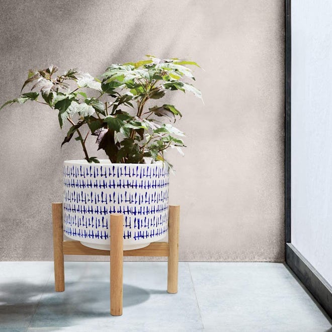 La Jolie Muse Ceramic Plant Pot with Wood Stand