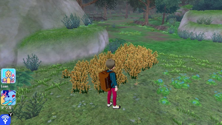 Player trying to find Digletts in the bush