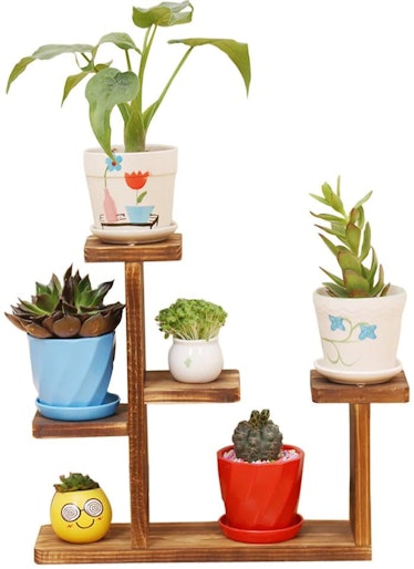 Exttlliy Wooden Mini Tabletop Plant Stand