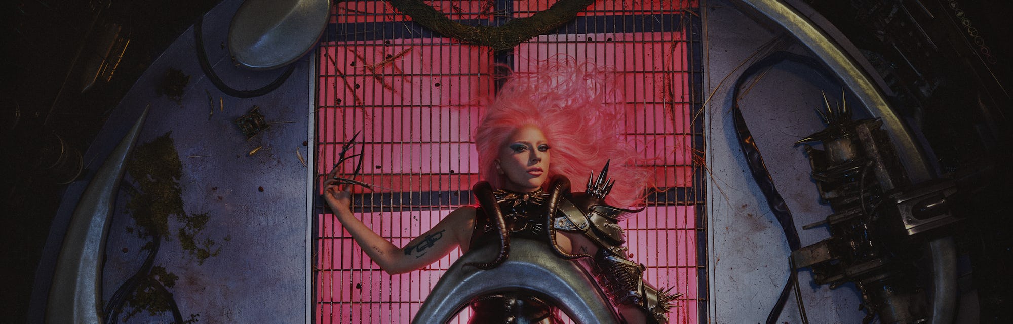 lady gaga and adobe want to see your