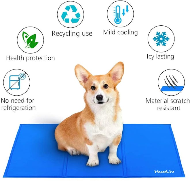 HueLiv Dog Cooling Mat