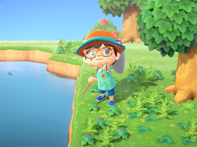 A participant in the Animal Crossing Bug Off event, hosted by Flick.