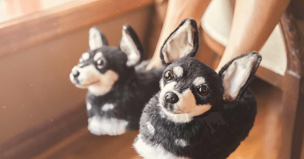 Jesy Nelson Has Slipper Versions Of Her Dogs You Can Too