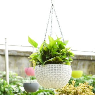 Foraineam 10.2” Dual-pots Design Hanging Basket Planter