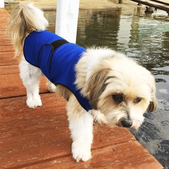 Dogzstuff Dog Cooling Vest