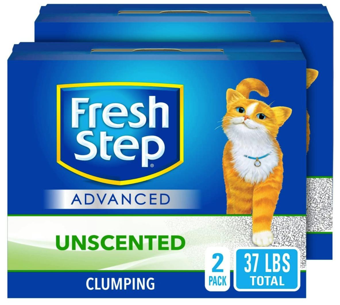 The 5 Best Clumping Cat Litters