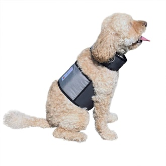 CoolerDog Dog Cooling Vest and Cooling Collar 