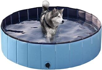 Yaheetech Foldable Dog Pool 