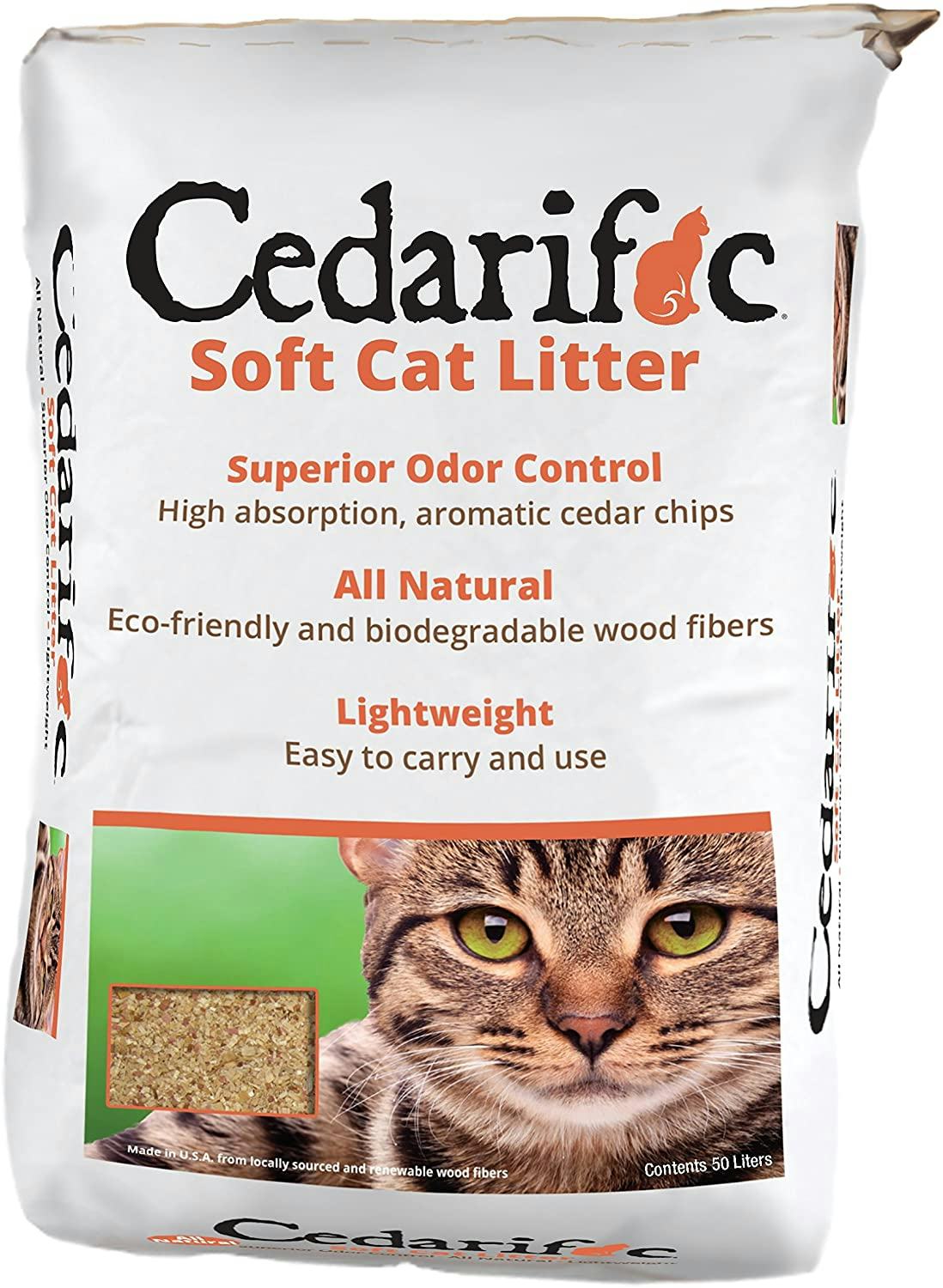 The 4 Best Cat Litters For Multiple Cats