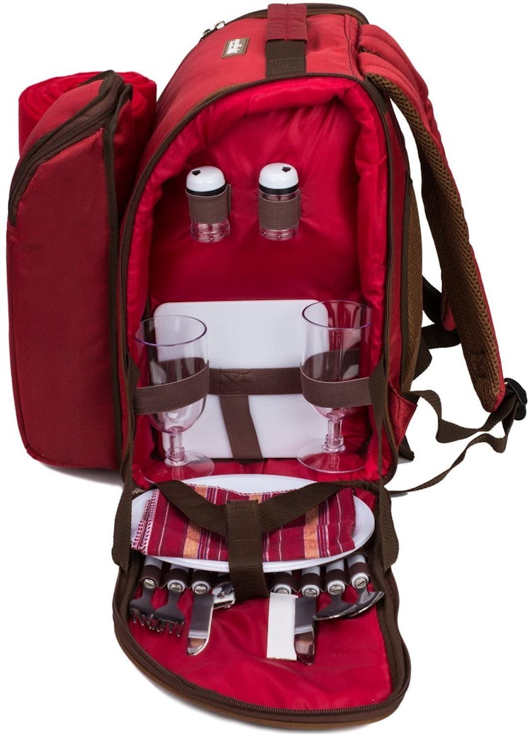 Apollo Walker 2-Person Picnic Backpack
