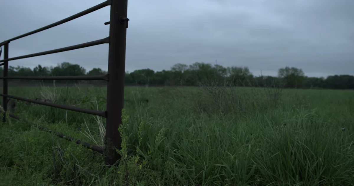 45+ Unsolved Mysteries Kansas Alonzo Brooks PNG