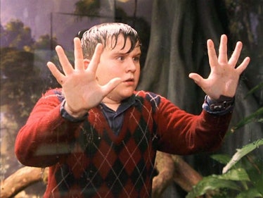 Dudley Dursley in 'Harry Potter'