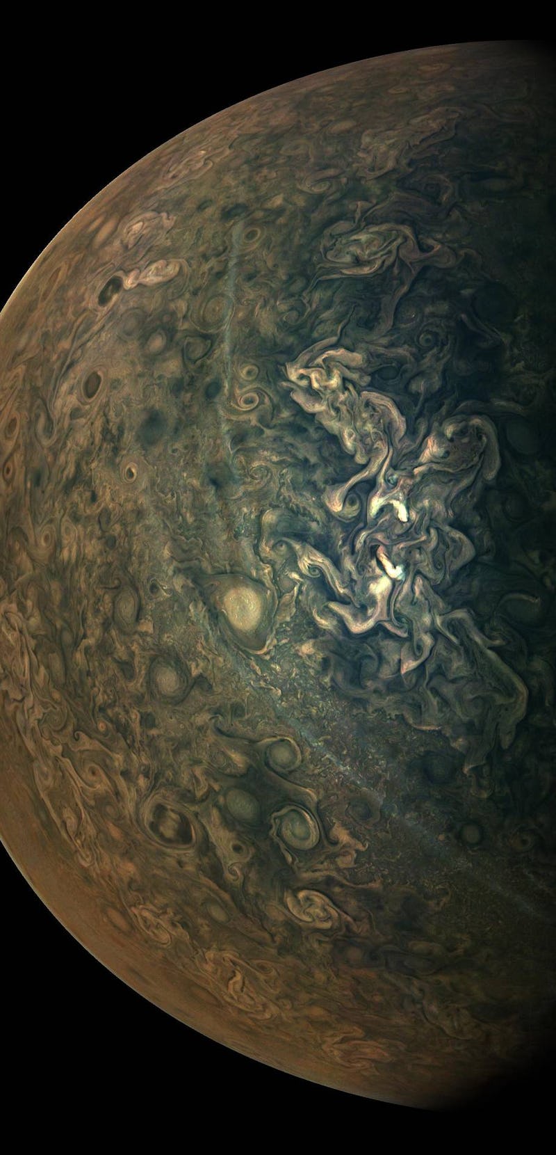 An aerial view of Jupiter's surface in dark green and brown shades