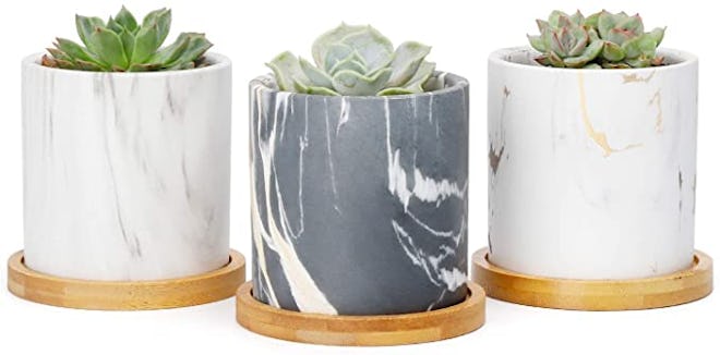 Greenaholics Succulent Plant Pots