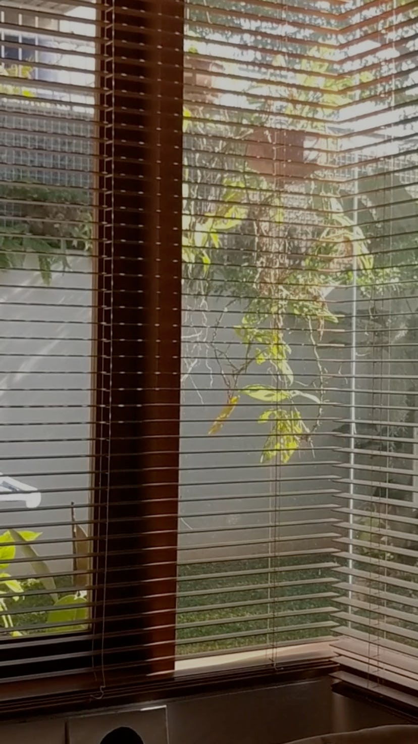 Tangerang Selatan, Indonesia