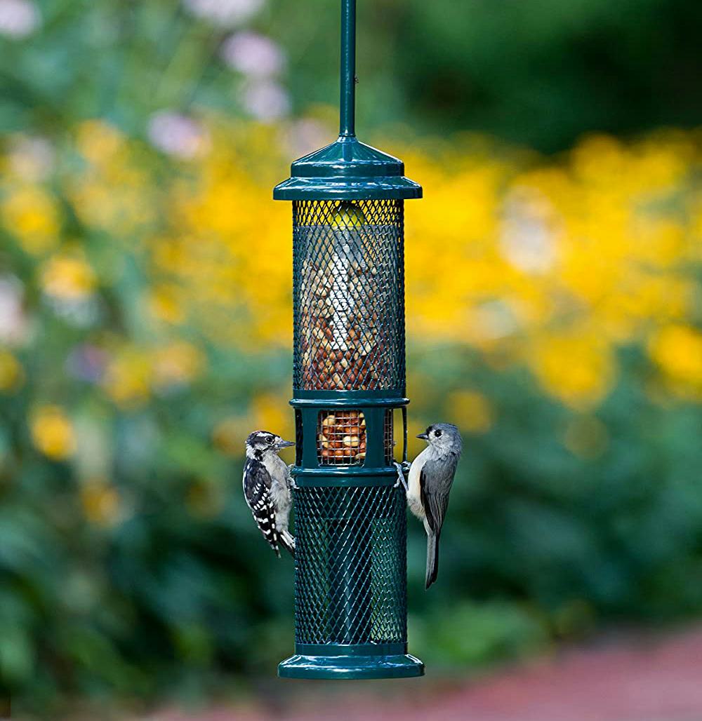 The 4 Best SquirrelProof Bird Feeders