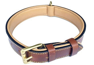 Soft Touch Collars Luxury Leather Padded Dog Collar