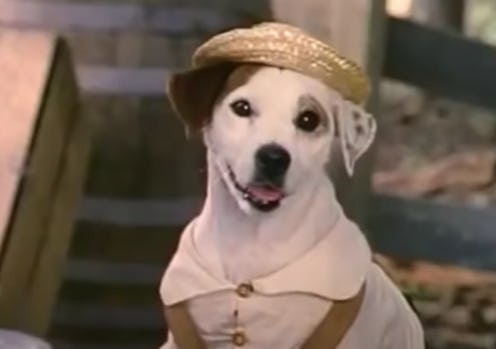  'Wishbone' Movie