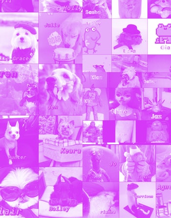 100 Funniest Cat Memes Ever