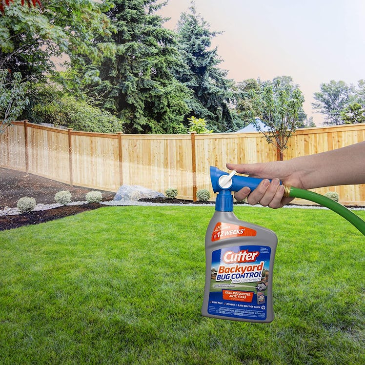 Cutter Backyard Bug Control Spray Concentrate