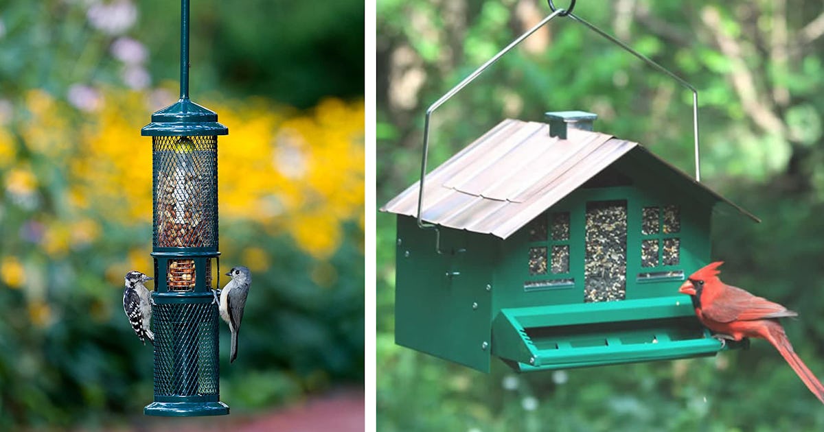 The 4 Best Squirrel-Proof Bird Feeders