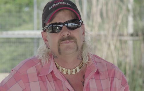 A new Animal Planet documentary called 'Surviving Joe Exotic' introduces the animals of 'Tiger King....
