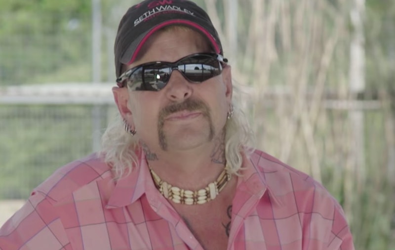 A new Animal Planet documentary called 'Surviving Joe Exotic' introduces the animals of 'Tiger King....