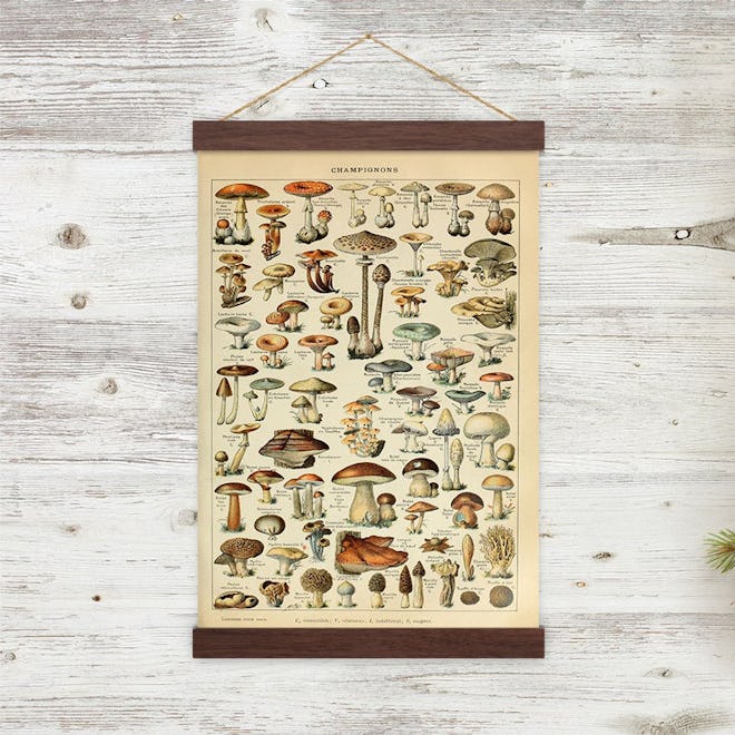 Vintage Mushroom Illustration