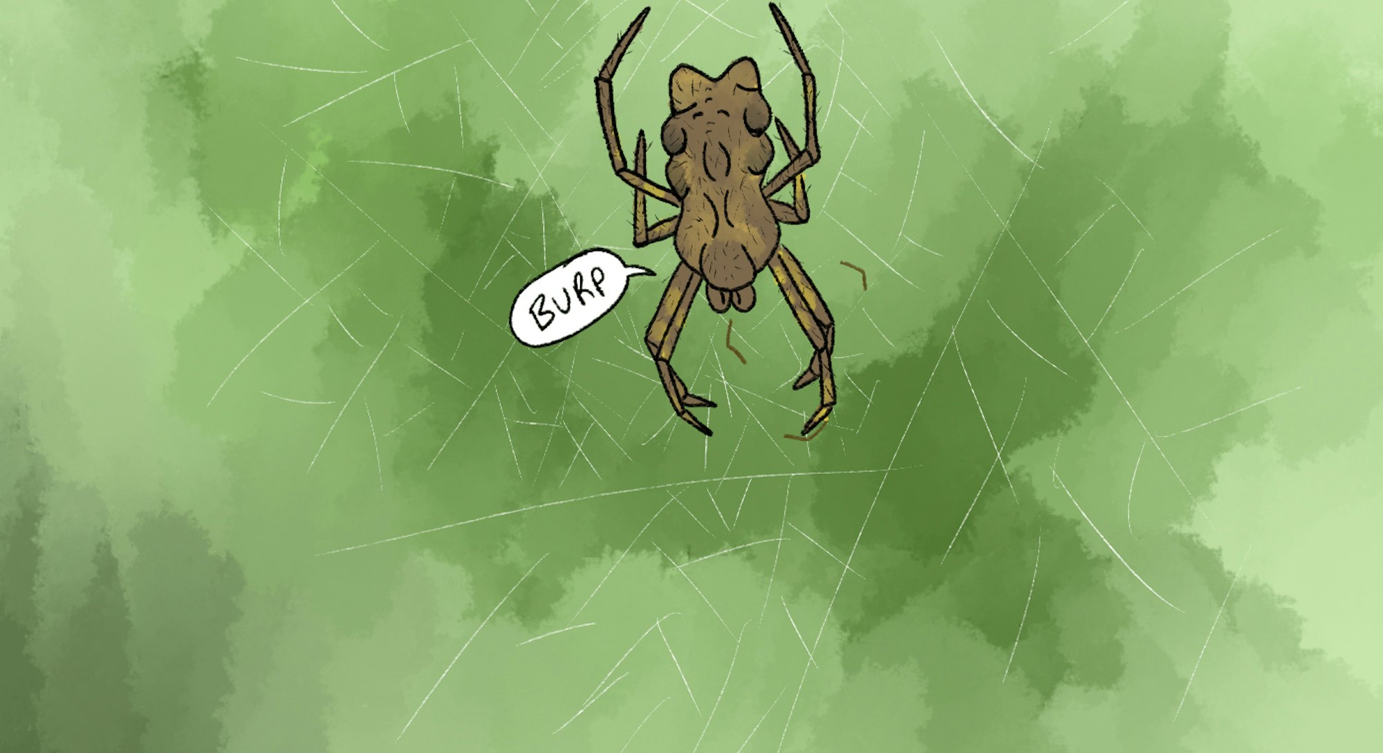 5 weird mating rituals of the animal kingdom