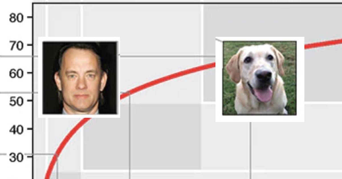 How old are dogs in human years? Study upends 7-year rule
