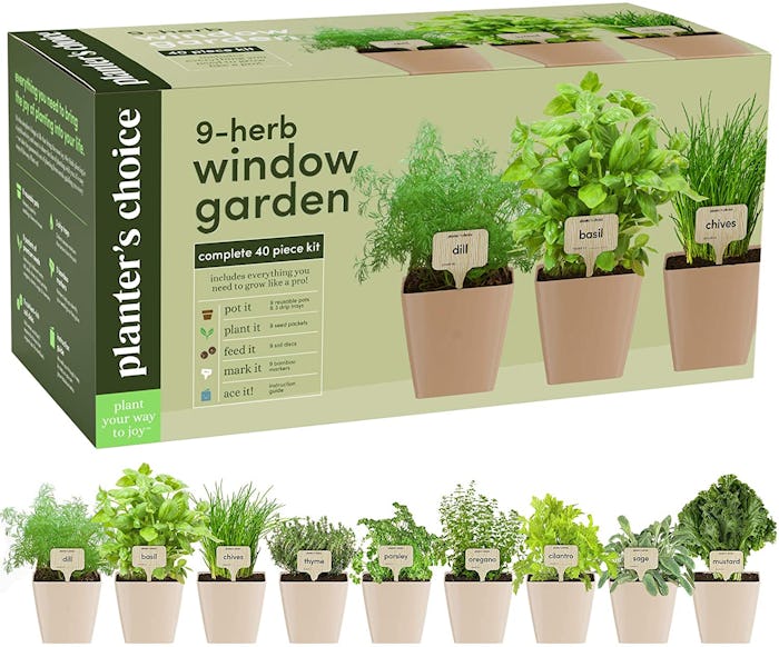Planter's Choice 9 Herb Window Garden