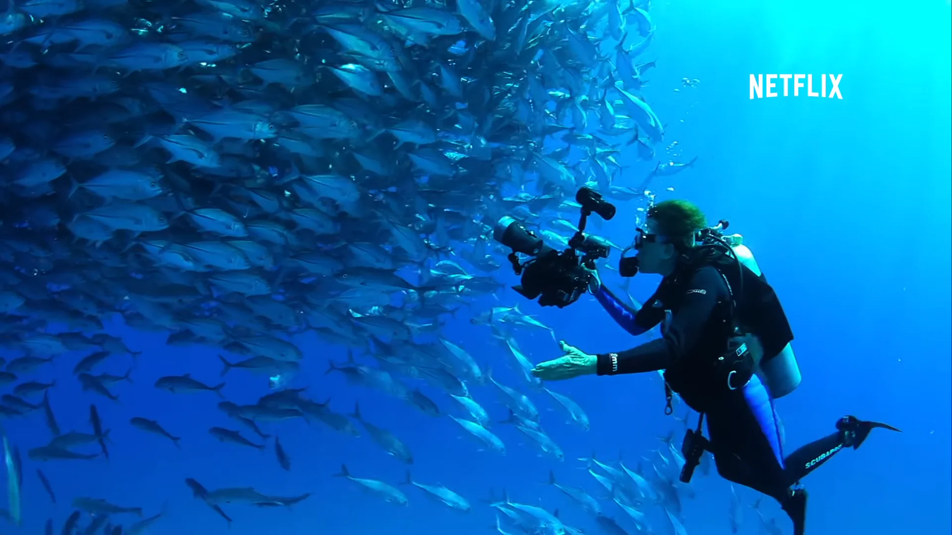 The 10 best Netflix nature documentaries