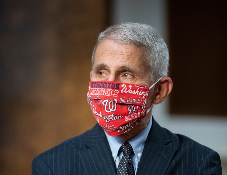 Dr. Fauci in a black suit wearing a red face mask 