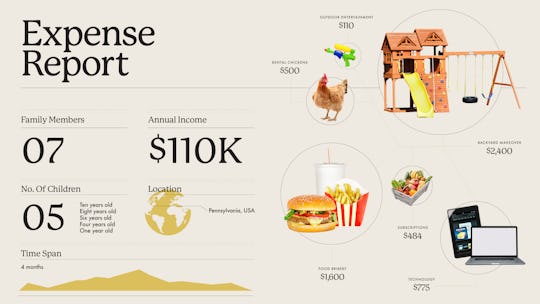 Graphic of hamburger, laptop, globe, playset and chickens, to illustrate what a family have spent on...