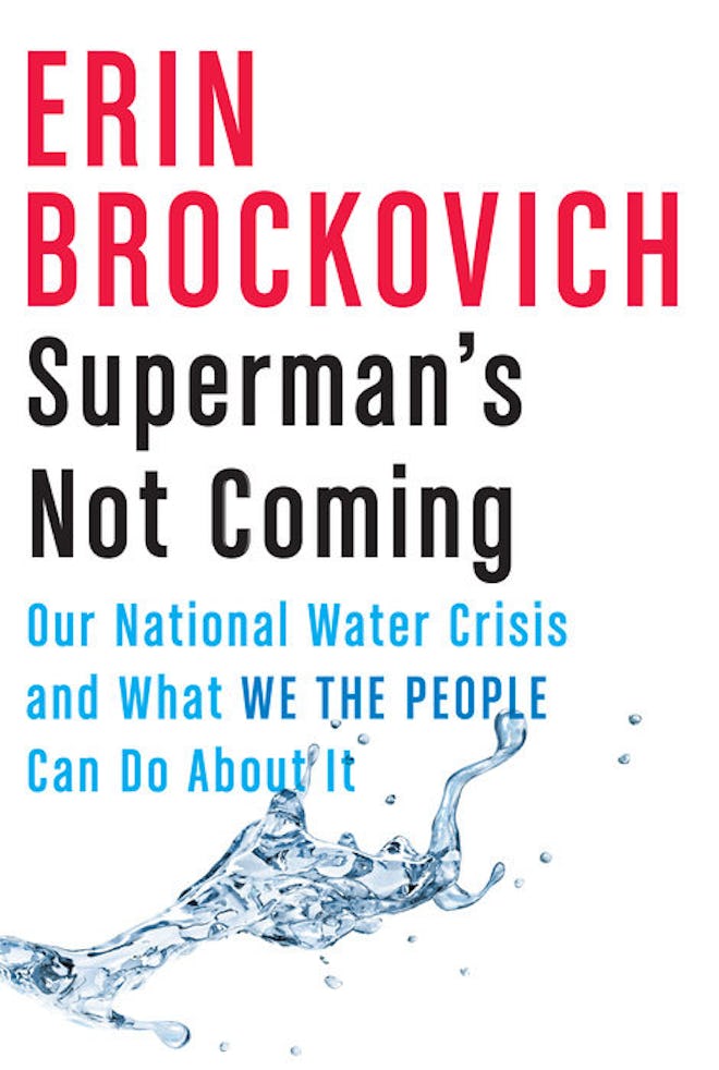 'Superman's Not Coming: Our National Water Crisis and What We the People Can Do About It' by Erin Br...