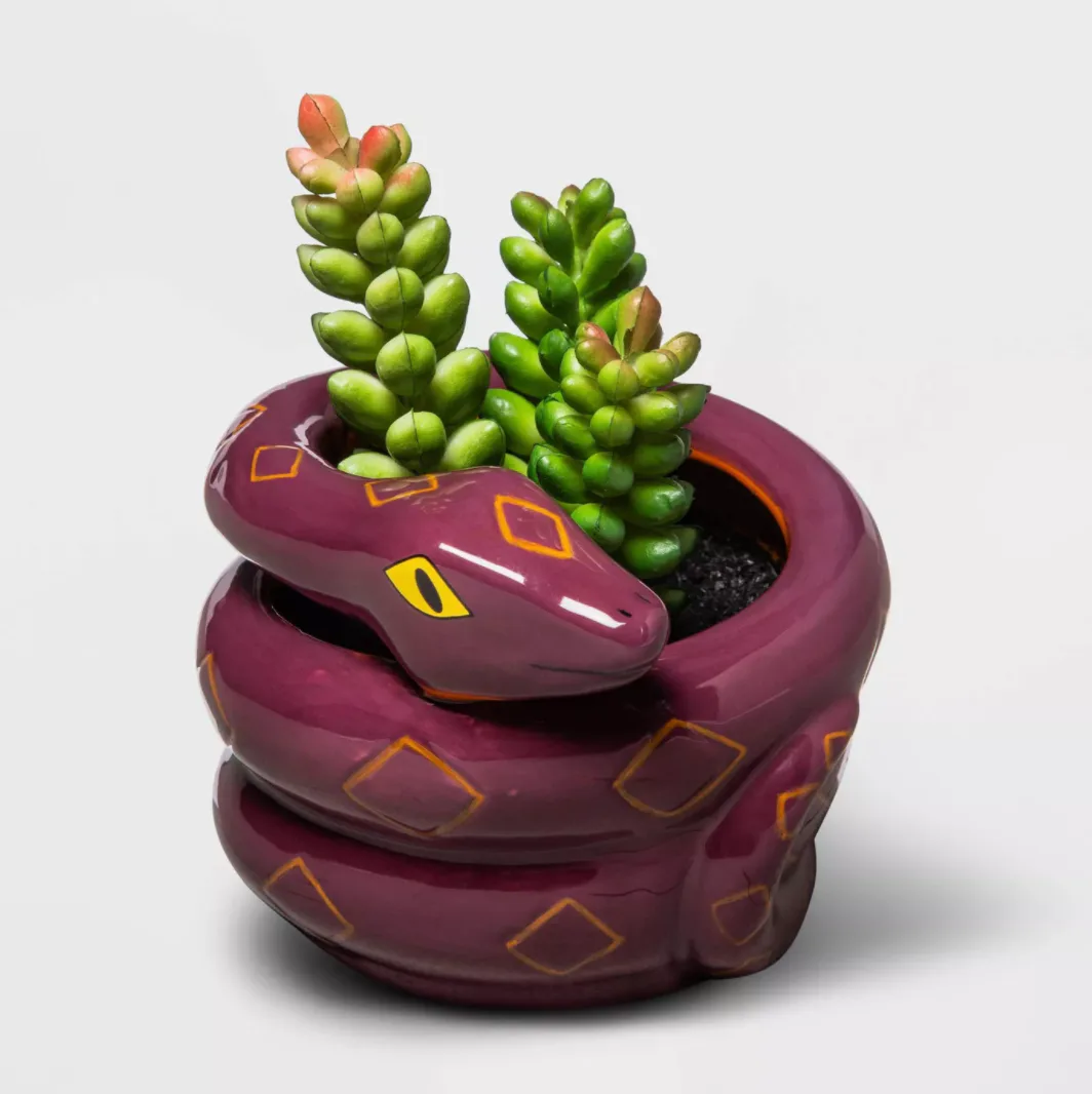 Target's 2020 Halloween Hide & Eek! Boutique Decorations Include New Spooky  Succulents