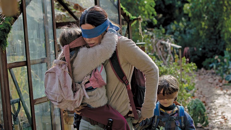 bird box 2