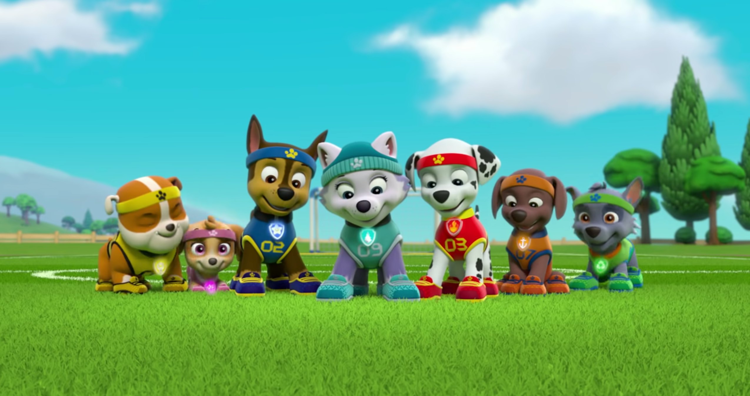chase paw patrol cancelled