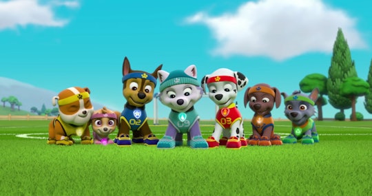 'PAW Patrol' has confirmed it is not canceled after White House Press Secretary Kaleigh McEnany sugg...