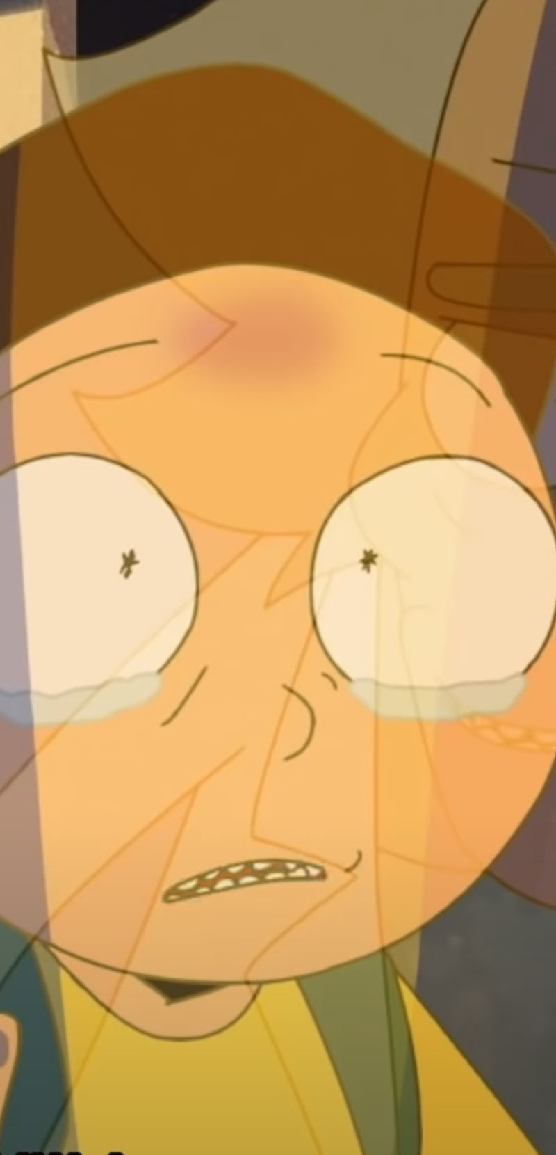 Rick and Morty overlapping images in the new Rick and Morty short episode