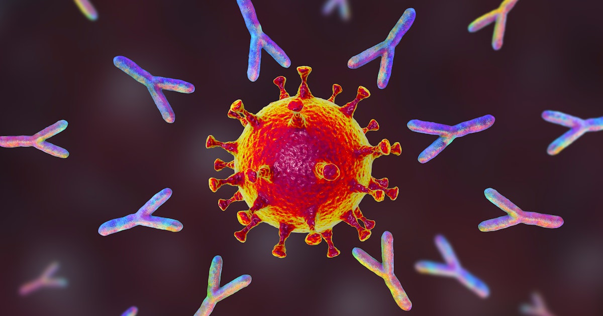 Image of article 'So you tested positive for antibodies. Now what'