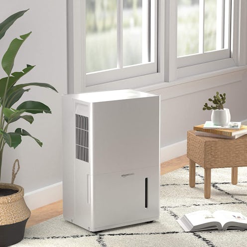 best dehumidifiers with pumps