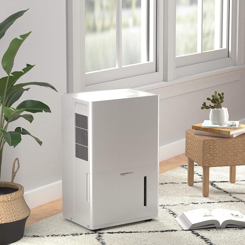 best dehumidifiers with pumps