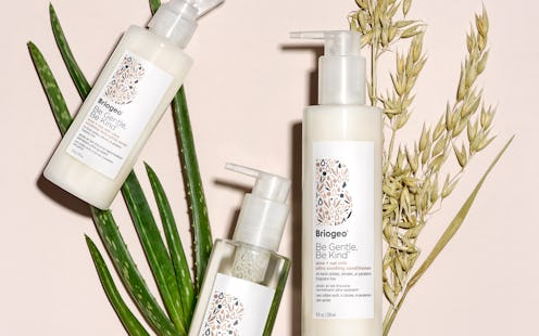 Shampoo, conditioner, and detangler from Briogeo's Be Gentle, Be Kind Aloe + Oat Milk Ultra Soothing...