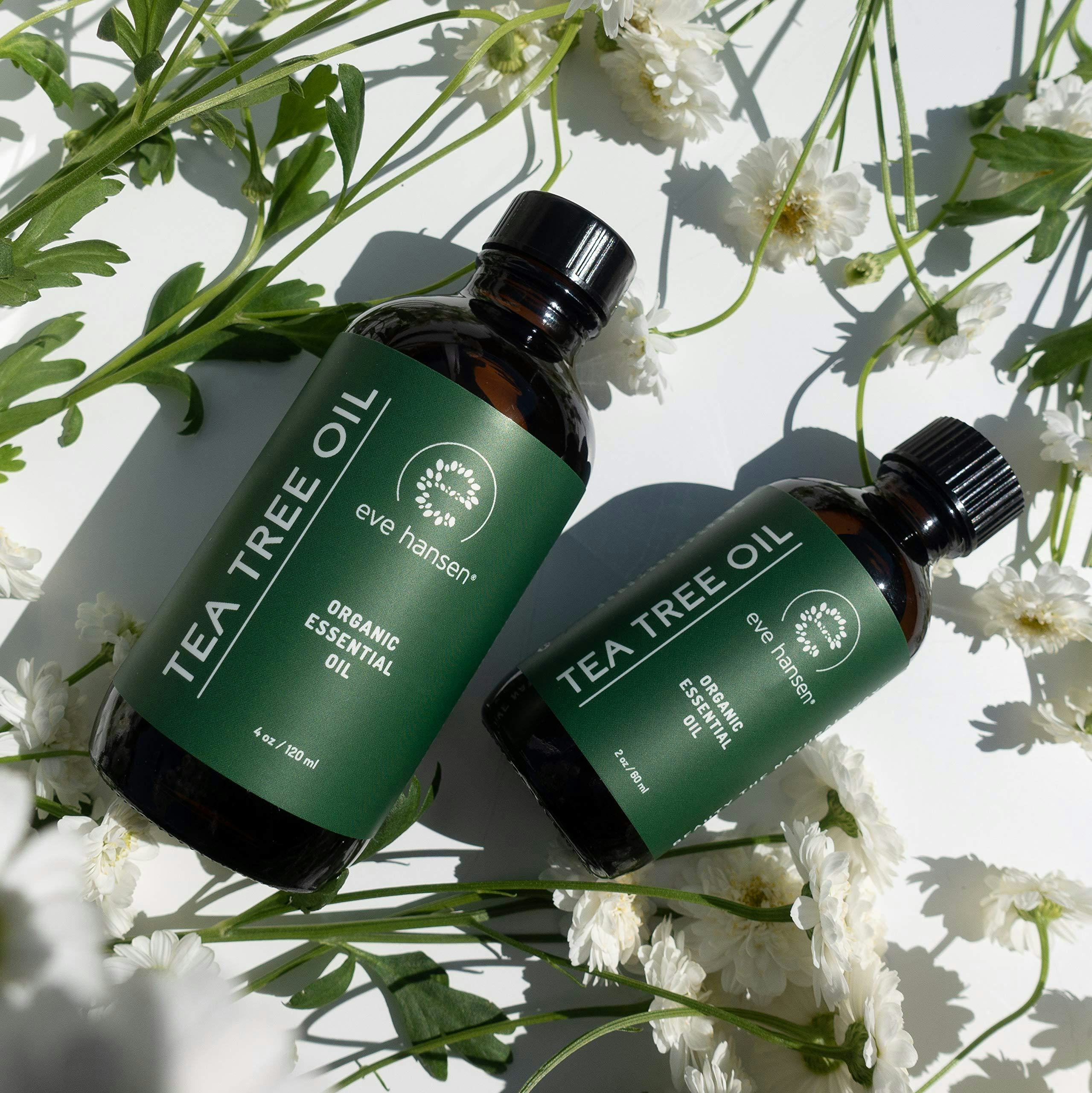 The 6 Best Tea Tree Oils