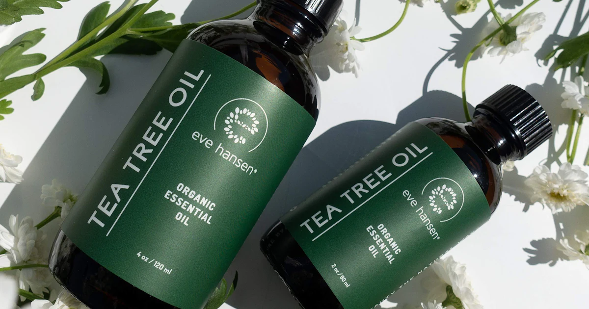 Auto Oil Tea Best Tea Tree Oil Products at Mark Ferretti blog